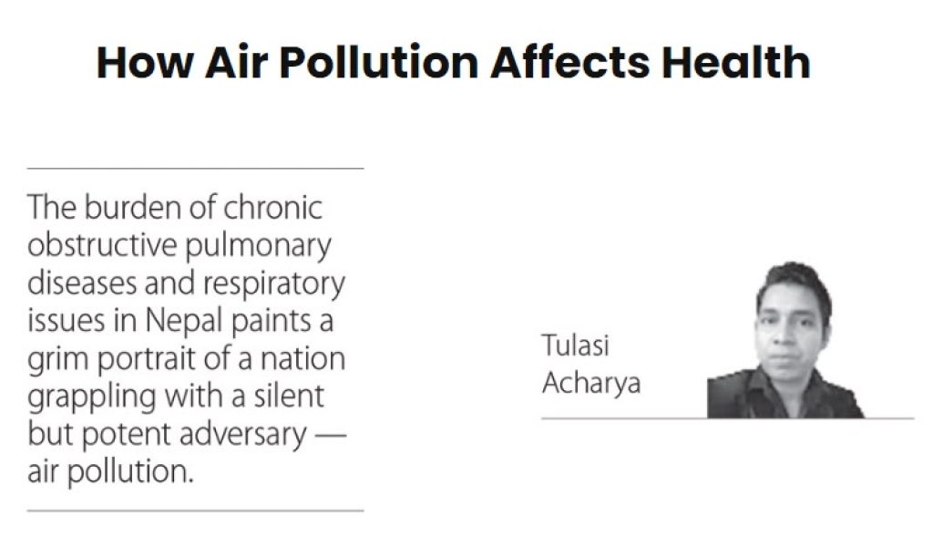 How Air Pollution Affects Health